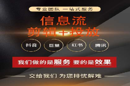 某企业通过SEO和SEM双管齐下实现业绩飞跃的案例